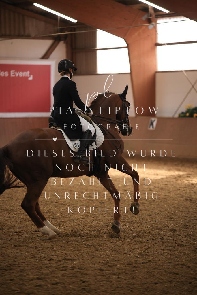 IMGT5104 | pl-fotografie