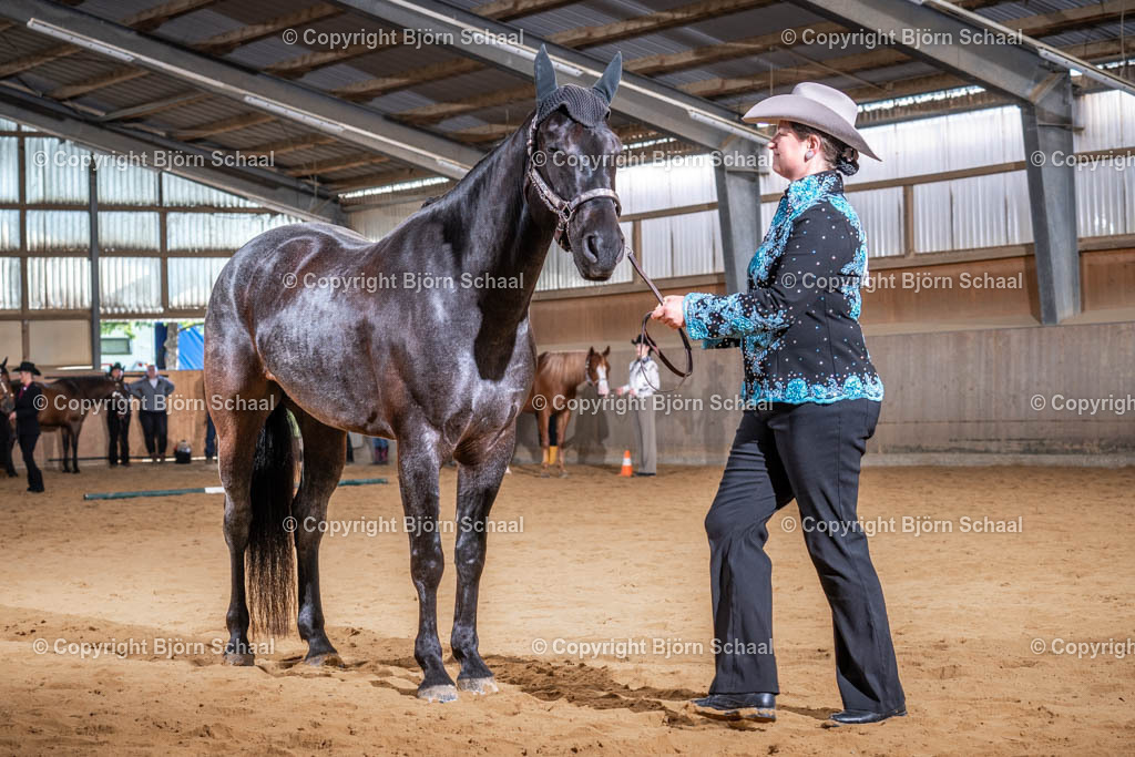 SBS09643 | BS-foto