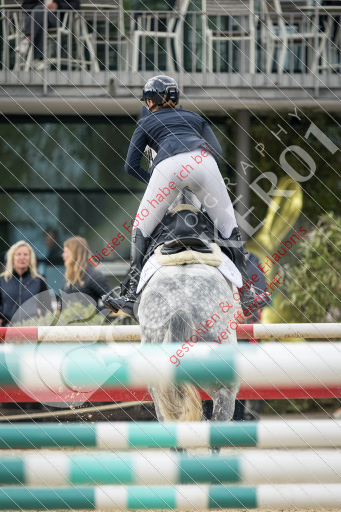 IMG_6065 | Hier findest Du viele Augenblicke aus den Bereichen der Turnier-, Sport- & Tierfotografie. Bilder mit deinem Liebling, Portrait-, Bewerbungs-, Businessbilder können ebenfalls schnell und einfach erstellt werden.