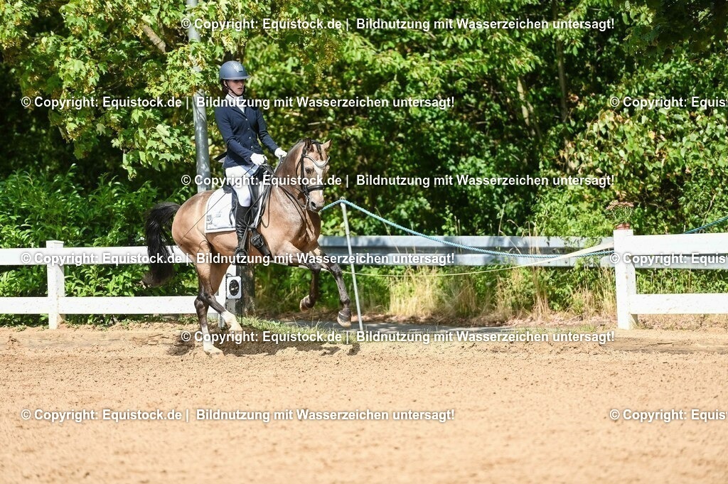 20230716_01_Dressurprüfung Kl.M_0224 | equistock