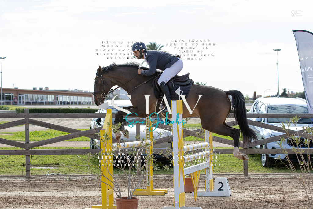 IMG_3699 | s-jay-photography - Realisiert mit Pictrs.com