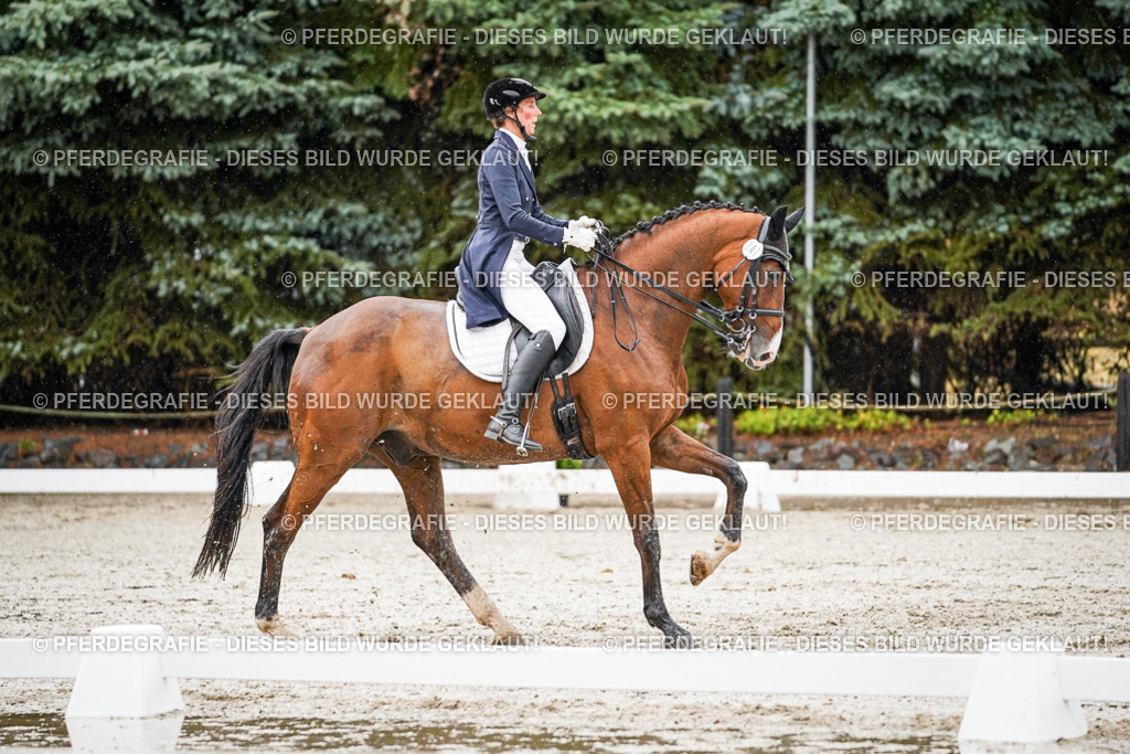 DSC08651 | Pferdegrafie