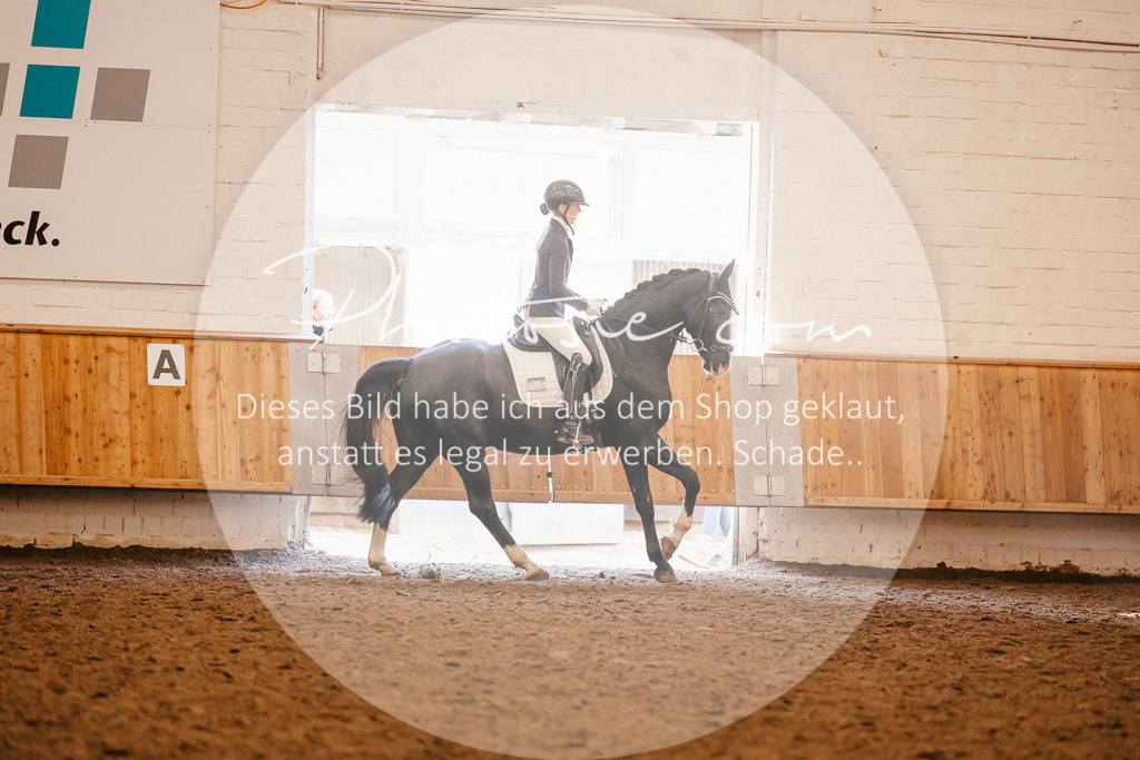3I6A1883 | Stimmungsvolle Portraits und Reitsportfotografie im Ruhrgebiet und im Münsterland.

Pferdefotografie, Hundefotografie, Tierfotografie, Reportagen, Portraits von Tier und Mensch, Turnierfotografie in Bochum, Recklinghausen, Marl, Haltern am See, Dülmen.. - Realisiert mit Pictrs.com