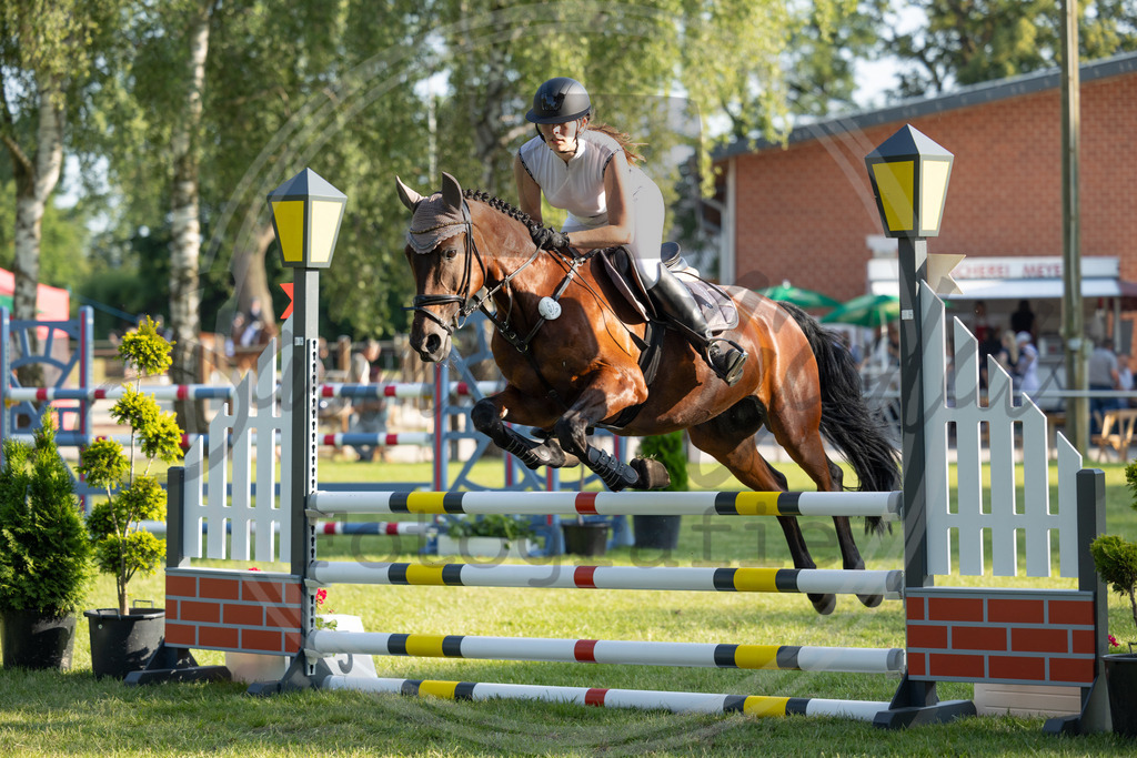 994A3555 | sabrinanicolaifotografie - Realisiert mit Pictrs.com