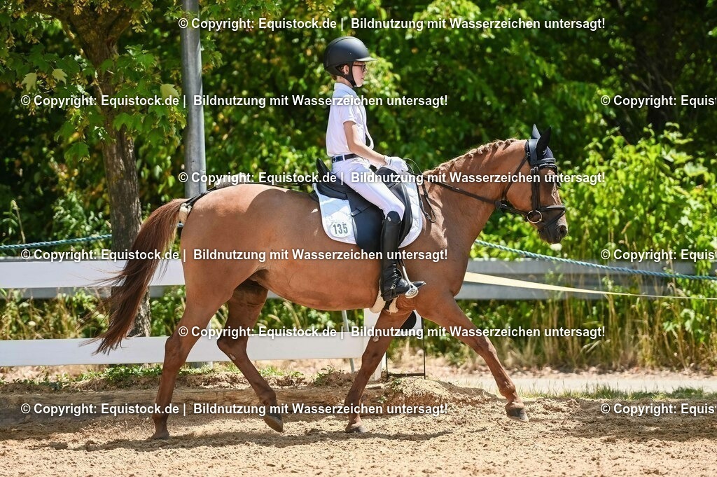 20230715_09_Dressur-WB_0388 | equistock