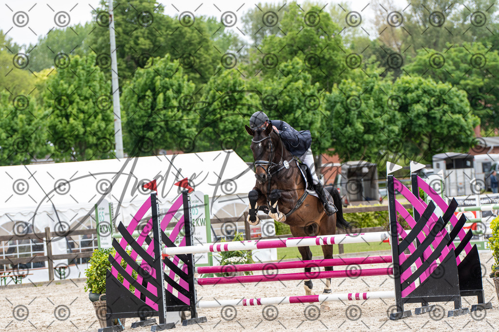 KPT_8800 | andre_photographic