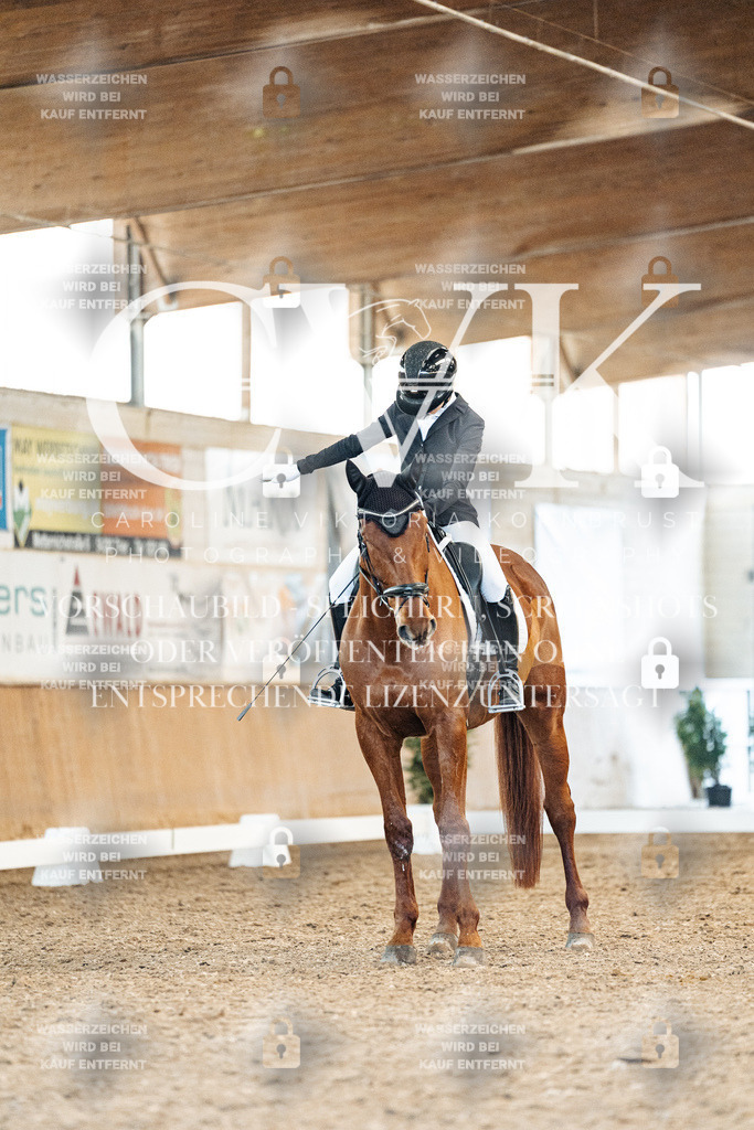 CK908652 | Turnierfotografie Pferdefotografie Trier Rheinland-Pfalz Pferdesport Reitsport Tierfotografie Sportfotografie Pferdevideo Pferdevideografie Equestrianvideography equestrianphotography  - Realisiert mit Pictrs.com