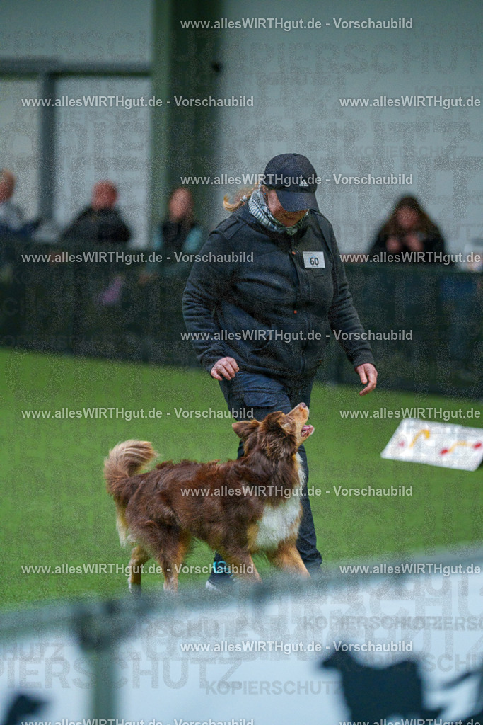 7R502879 | Professionelle Tierfotografie in Mönchengladbach von Daniel Wirth (allesWIRTHgut). Liebevolle & natürliche Bilder von Hunden & Katzen für unvergessliche Erinnerungen.
