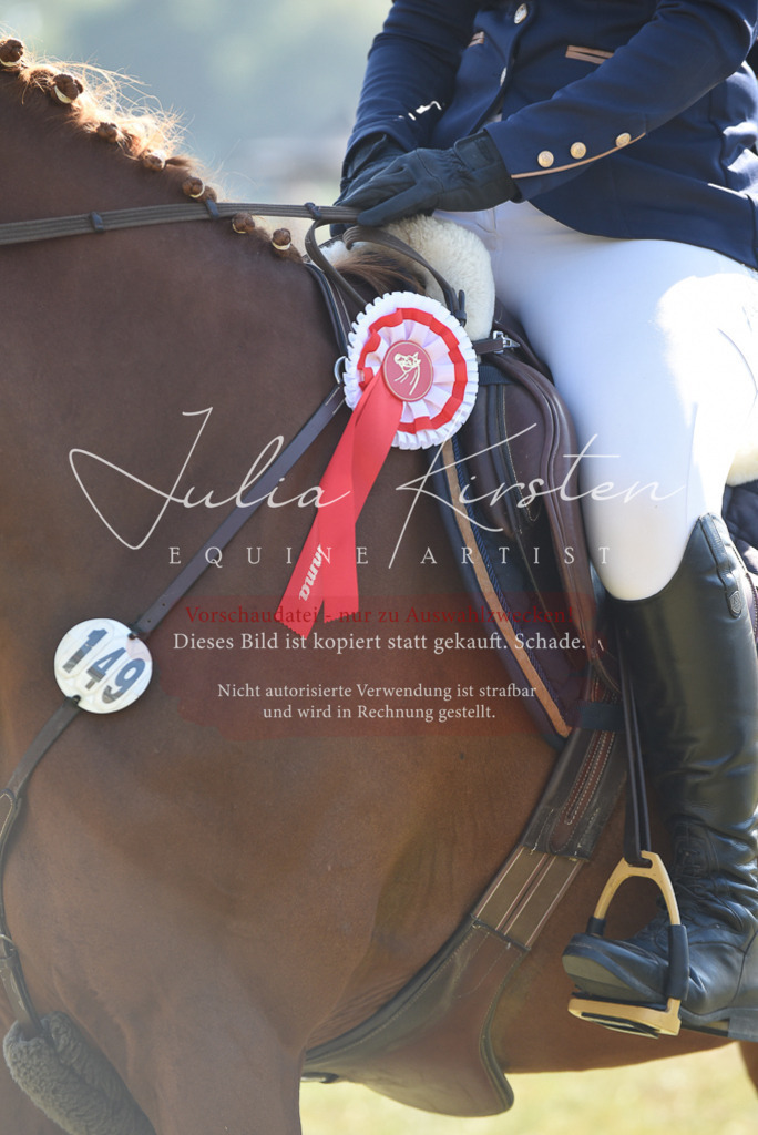 DSC_5480 | Pferde- und Turnierfotografie in Westsachsen. Pferdeportraits, Auftragszeichnungen und intuitive Kunst.