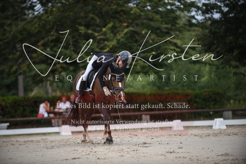 DSC_8179 | Pferde- und Turnierfotografie in Westsachsen. Pferdeportraits, Auftragszeichnungen und intuitive Kunst.