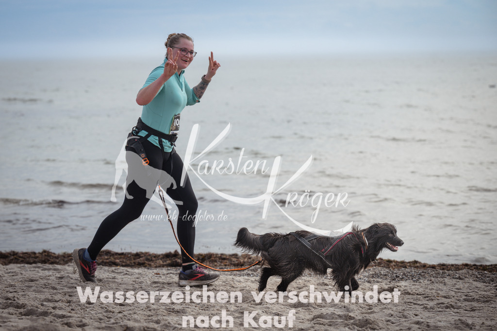 1156_ZZ92681 | kk-dogfotos