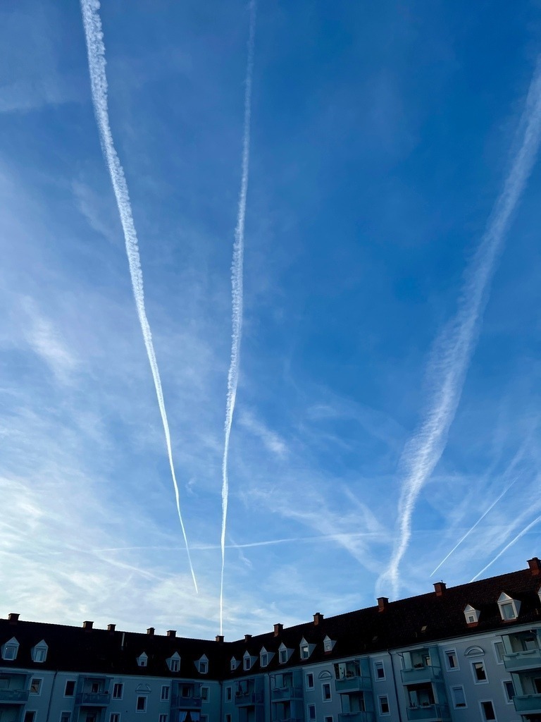 IMG_9699 | ace - Realisiert mit Pictrs.com