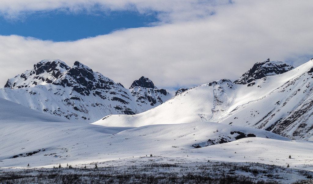 Alaska | Denali Highway - Realisiert mit Pictrs.com
