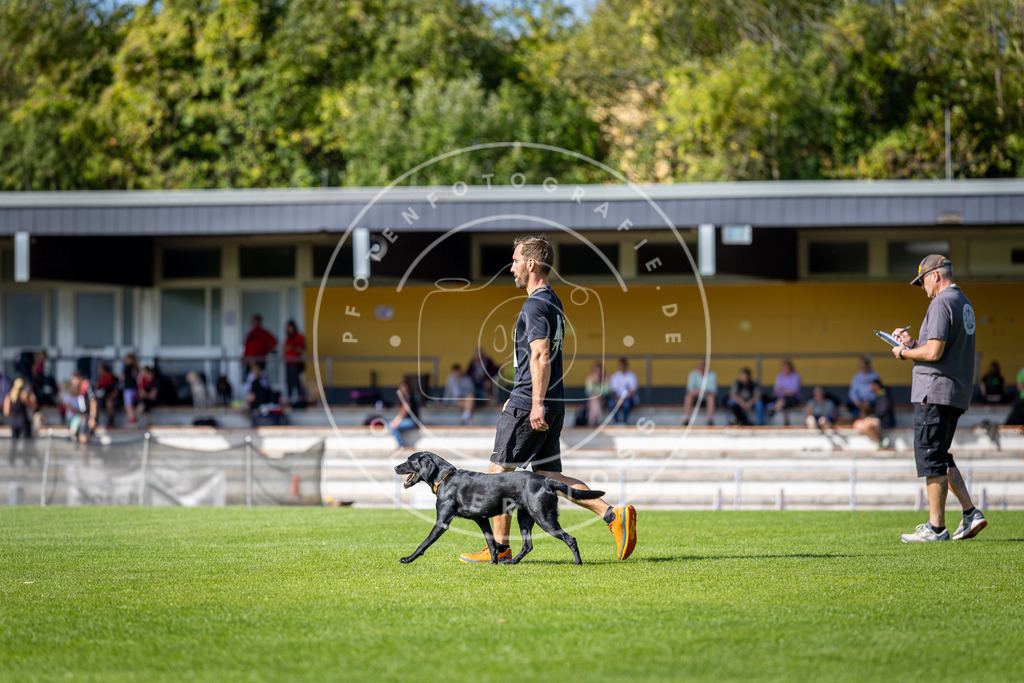 Pfotenfotografie_DV3A4978 | Hundefotografie, Tierfotograf, Pfotenfotografie, Fotoshooting Hund, Hunde Portrait, Hundesport, Hundeportraits, Heideshooting, Hunde, Sportfotograf, Hundefotograf, Turnierhundsport, THS,  - Realisiert mit Pictrs.com