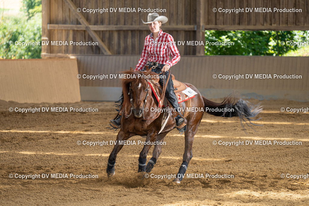 DSC00071 | dv-media-shop - Realisiert mit Pictrs.com