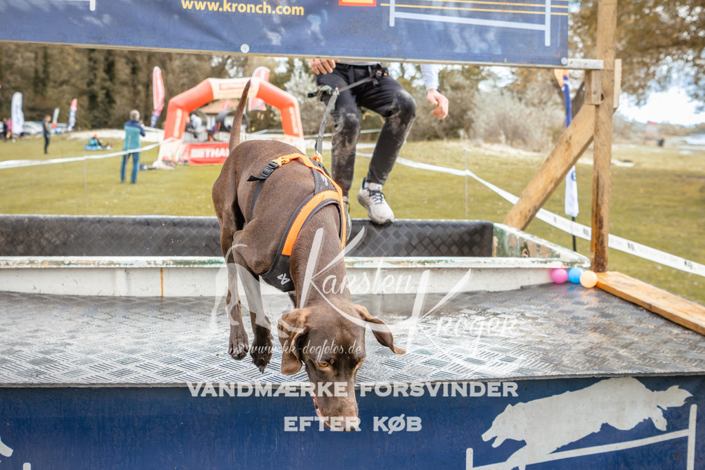 1343_ZZ91894-2 | kk-dogfotos