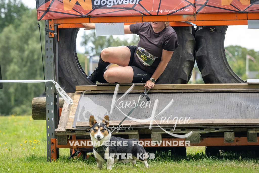 1309_ZZ94605-Bearbeitet | kk-dogfotos