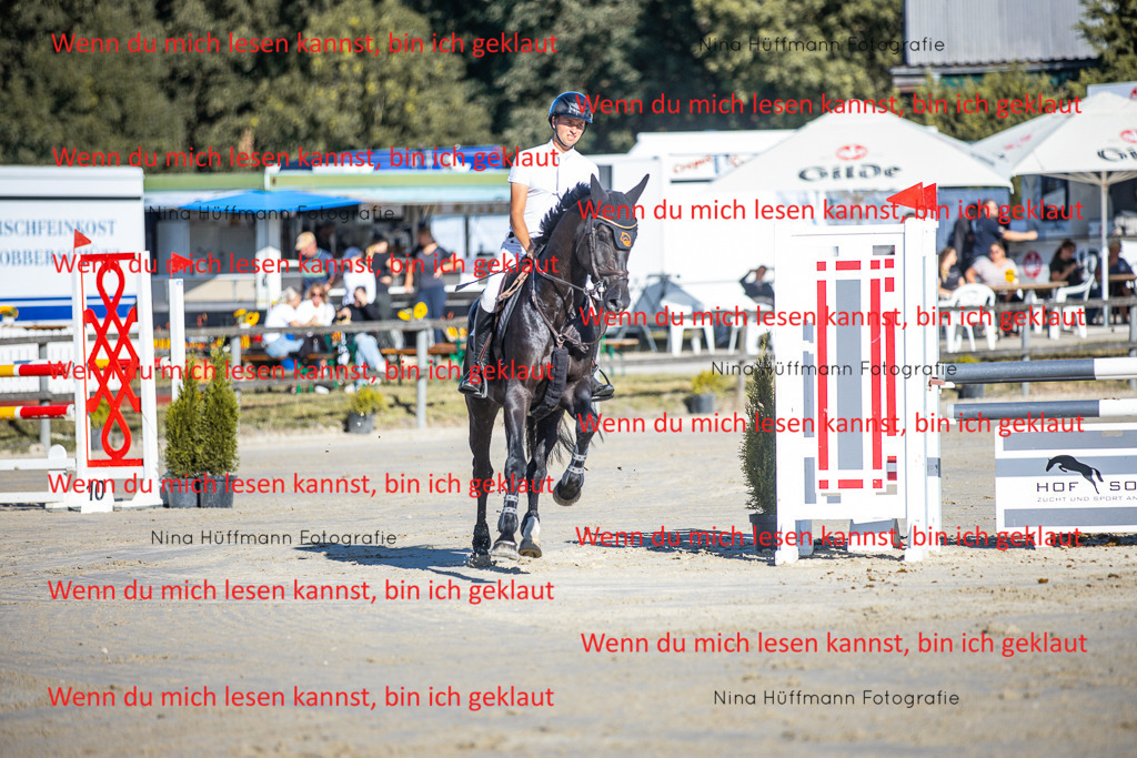 BK1A5989 | Turnierbilder Turnierfotos Nina Hüffmann Turnierfotografie Pferdefotografie Tierzeichnung Haustierzeichnung Pferdezeichnung Hundezeichnung Videograf  - Realisiert mit Pictrs.com
