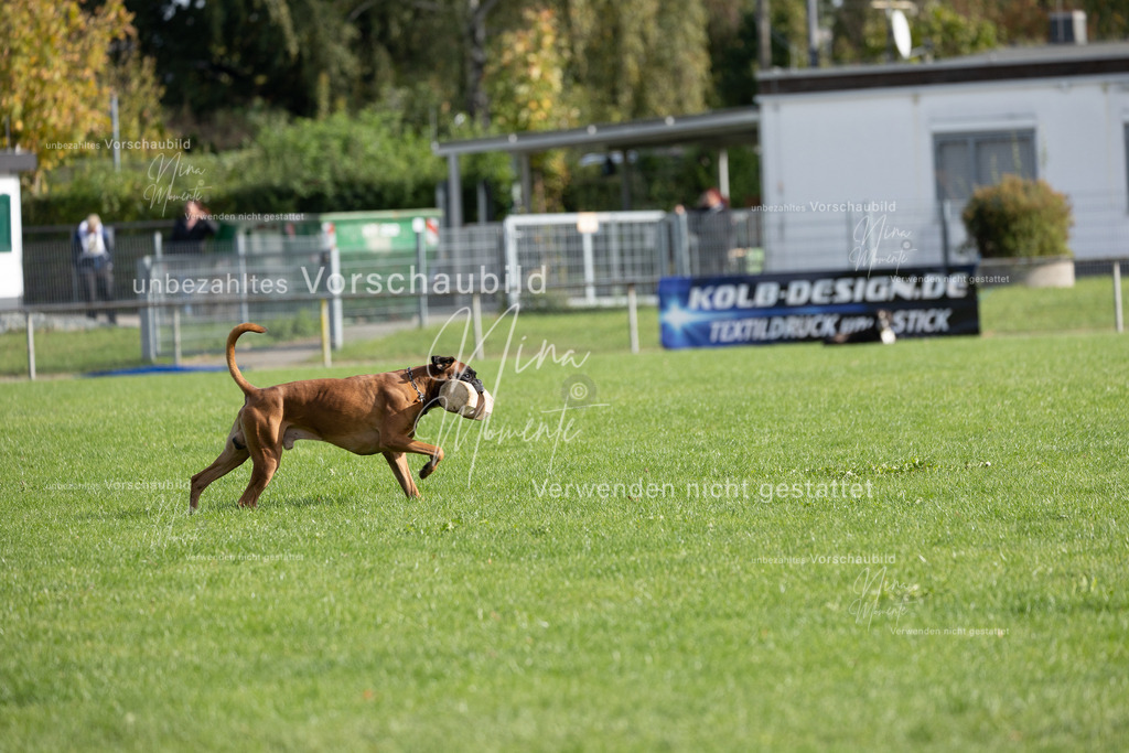 _16A6598 | Einzigartige Fotos von Hunden & Menschen –Actionfotos, Portraits, Vereinsaufnahmen & Paarshootings – authentisch, lebendig & mit Herz.