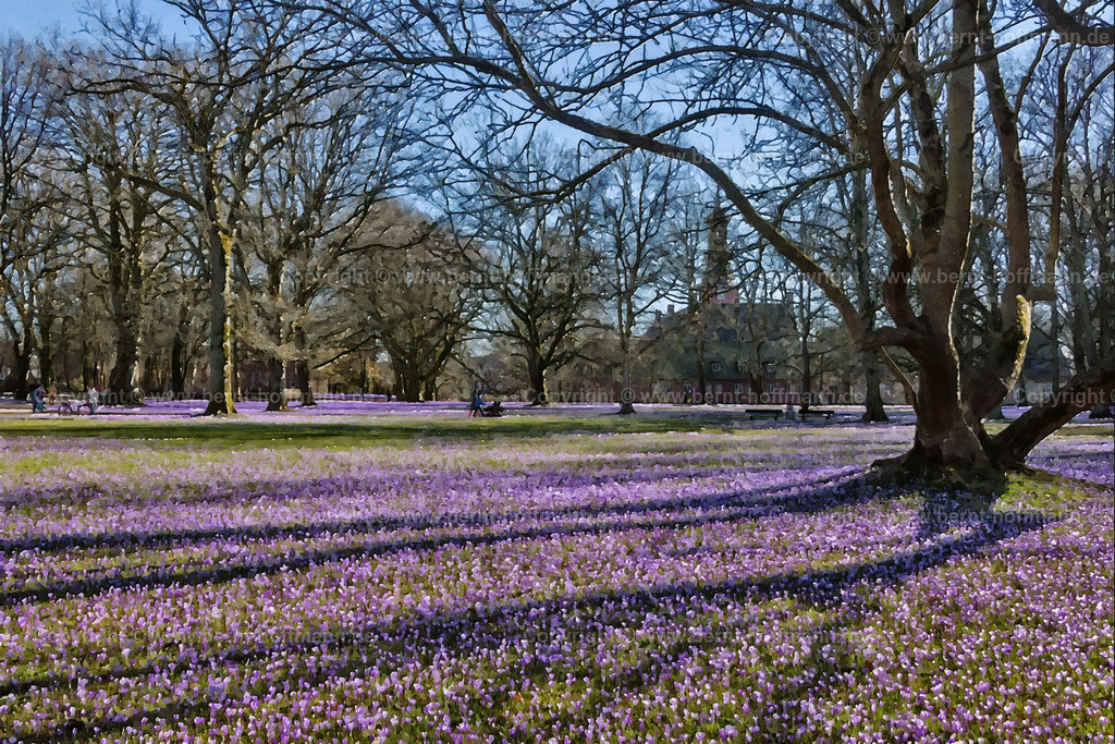 PDM2_9637_Husum-Krokus_150x100 | DIGITALKUNST. Krokusblüte im Schlosspark. __ Parkanlage beim " Schloss vor Husum " in der Husumer Innenstadt. __ Seitenverhältnis 3 zu 2. __ Druckbar ist dieses Bild aber auch in vielen kleineren Formaten sowie in frei wählbaren Bildausschnitten. - Realisiert mit Pictrs.com