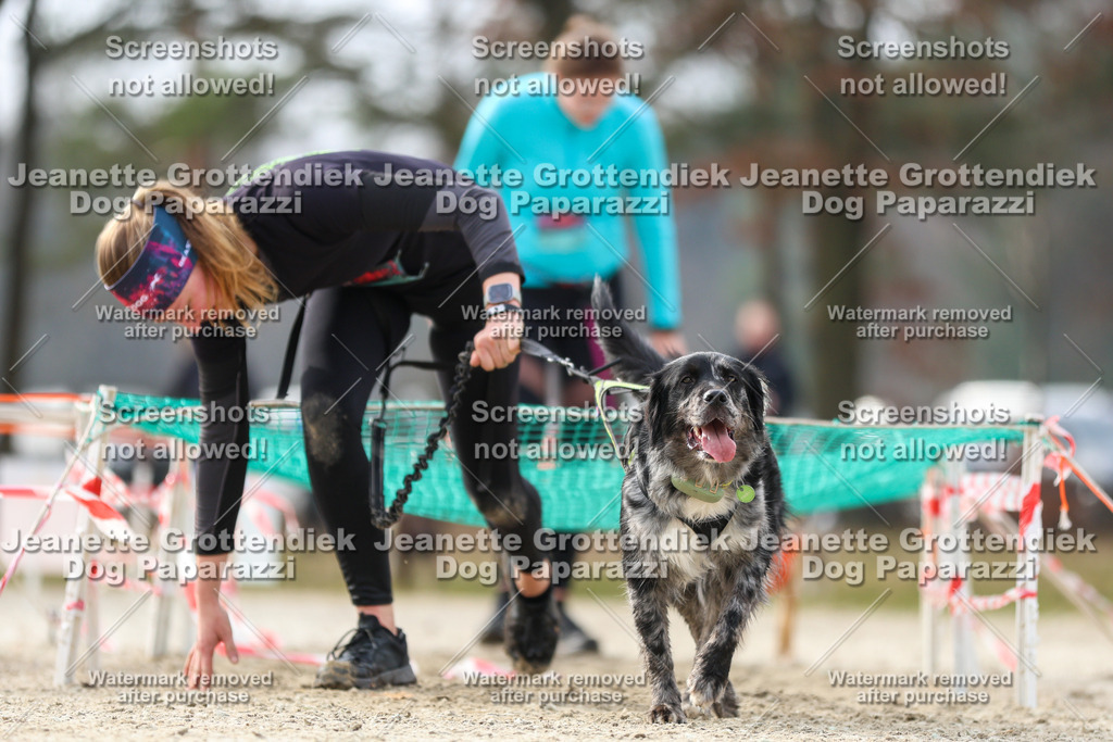 Dog Paparazzi - Strongdog North Mrz26-5378 | Dog Paparazzi Jeanette Grottendiek Fotografie & Videografie - Realisiert mit Pictrs.com