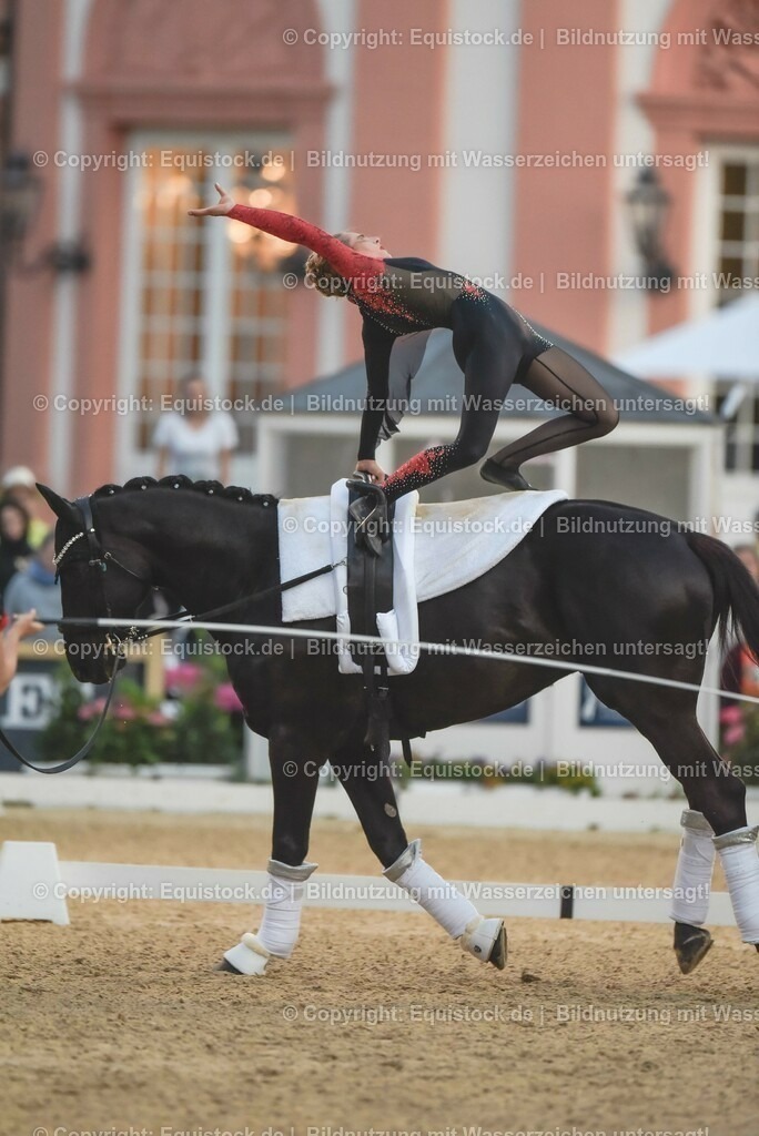 20230527_Voltigieren_NASPA_Flutlicht_0225 | equistock