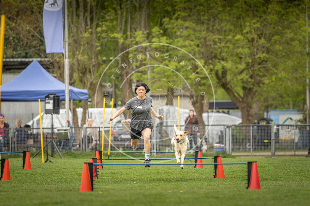 Pfotenfotografie_DV3A8606 | Hundefotografie, Tierfotograf, Pfotenfotografie, Fotoshooting Hund, Hunde Portrait, Hundesport, Hundeportraits, Heideshooting, Hunde, Sportfotograf, Hundefotograf, Turnierhundsport, THS,  - Realisiert mit Pictrs.com