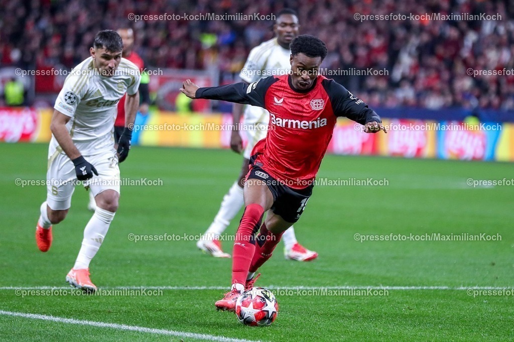 UCL29012501010 | 29.01.2025, Fußball, Bayer 04 Leverkusen - AC Sparta Prag, UEFA Champions League, 8. Spieltag, BayArena, Saison 2024 2025: Nathan Tella (Bayer04 Leverkusen #19)