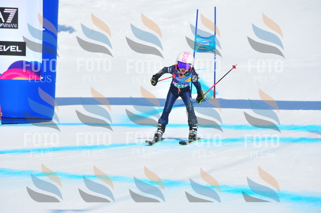 DSC_1179 | holidayphoto