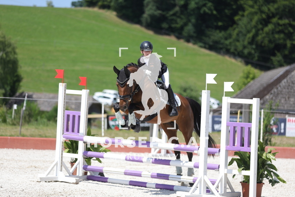 0P6A8587 | Willkommen bei Brunnmayr - Design & Fotografie – Ihrem Spezialisten für Reitturniere und Pferdeveranstaltungen in Oberösterreich, Salzburg und Bayern! Seit über 17 Jahren sind wir leidenschaftlich dabei.