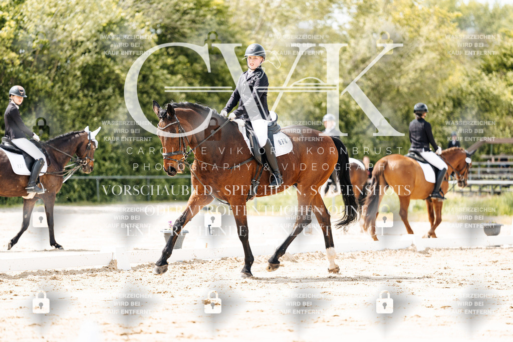 CK901810 | Turnierfotografie Pferdefotografie Trier Rheinland-Pfalz Pferdesport Reitsport Tierfotografie Sportfotografie Pferdevideo Pferdevideografie Equestrianvideography equestrianphotography  - Realisiert mit Pictrs.com
