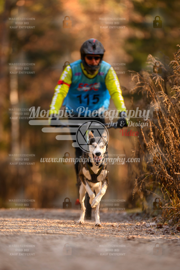 MompixPhotography_DM_AKDM_SO_2025_Scooter-185 | PayLife