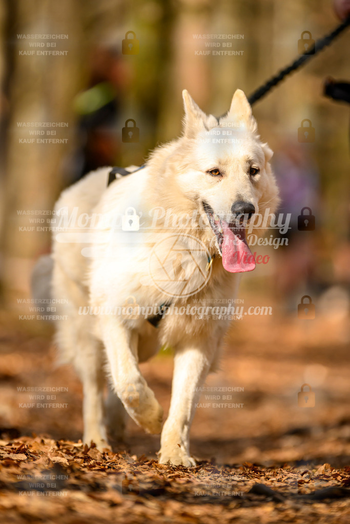 MompixPhotography_Habay2025_SA_CCC-151 | PayLife