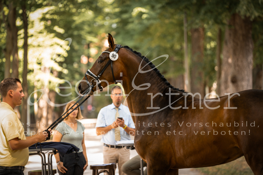 FrPfM00187 | Leoni Ertmer Photography - Realisiert mit Pictrs.com