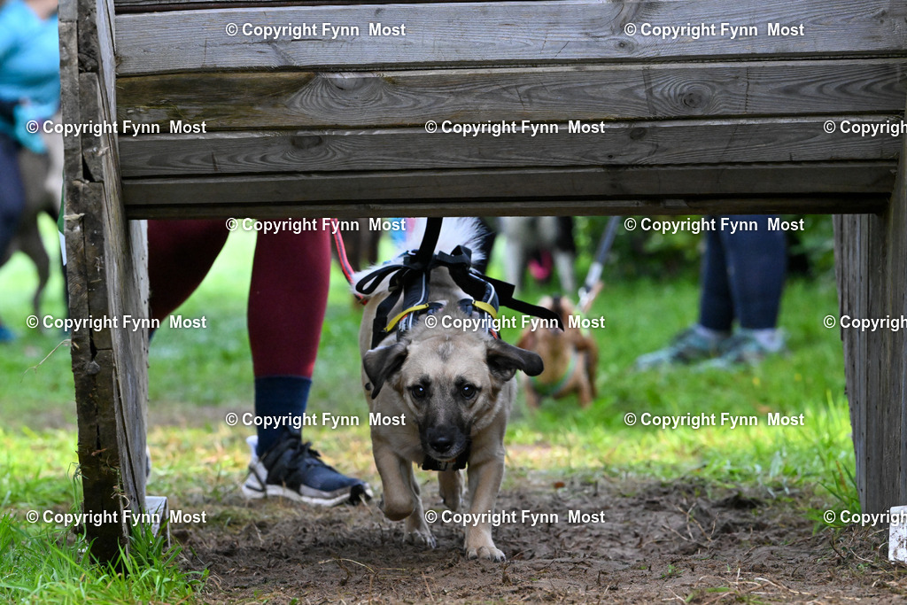 DSC_5885 | Hallo und herzlich Willkommen auf meiner Shop-Seite Fynn Most.

Ich wünsche Dir viel Spaß beim stöbern durch die Bilder, wenn Du Fragen hast oder Bilder vermisst, kannst du mir gerne eine Nachricht schreiben. - Realisiert mit Pictrs.com