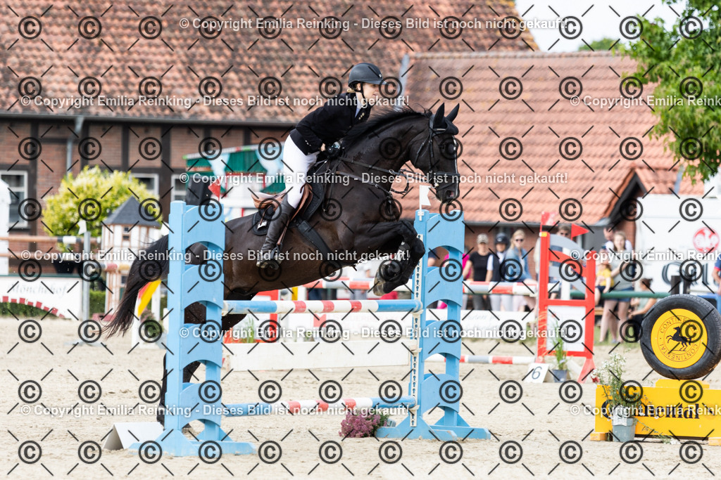 CL5A8341 | Emilia Reinking Fotografie - Realisiert mit Pictrs.com