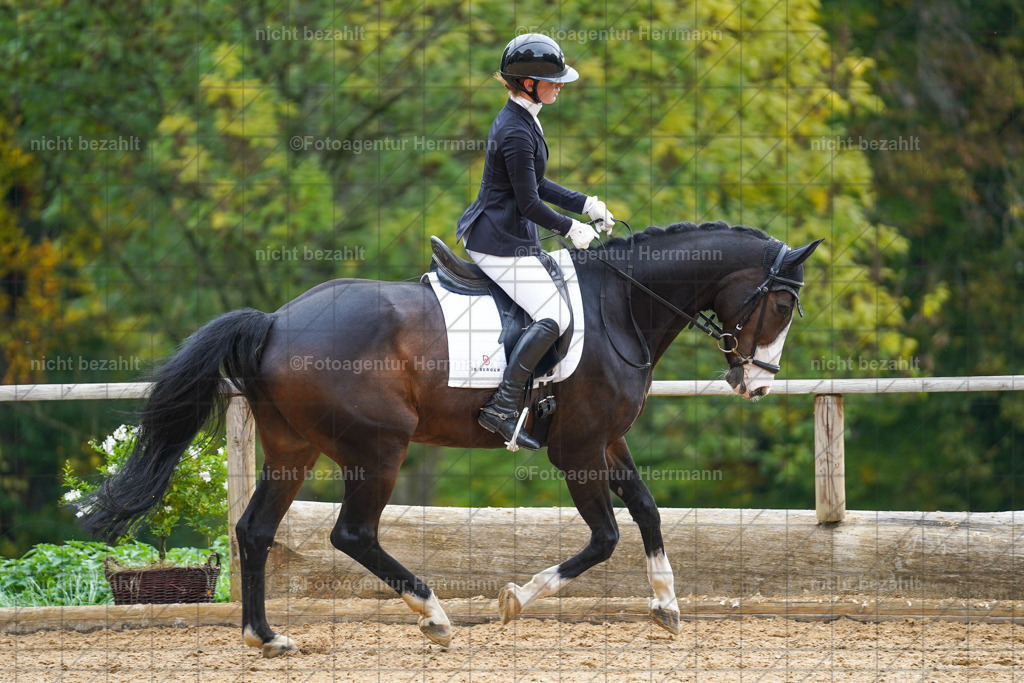 20221008-FAH01068 | Diessen am Ammersee, 2022, Dressur- und Springturnier, Reitsportbilder, Turnierfotografen Bayern, Pferdefotografen, Fotoagentur Herrmann, Turnierbilder