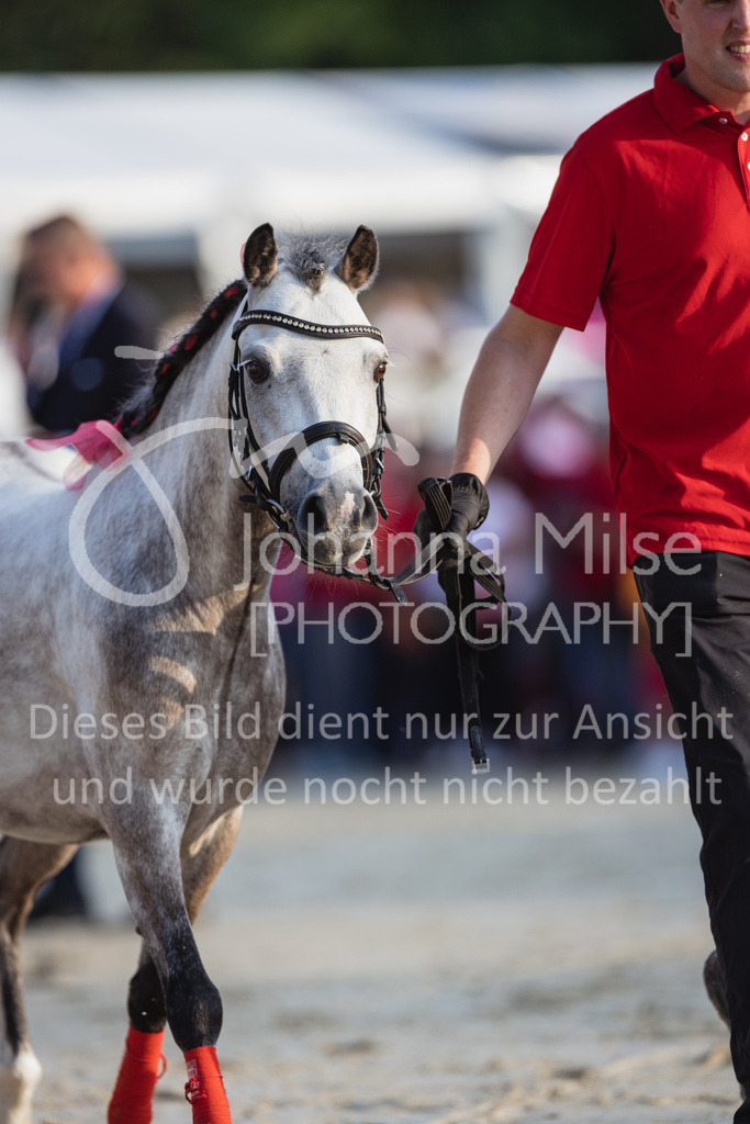 230728_BHO_Showprogramm-610 | Deine schönsten Turniermomente als professionelle Fotos! Entdecke hochwertige Pferdesport-Fotografie im Online-Shop. Jetzt Fotos finden & bestellen!