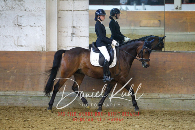 DKP43608 | Turniersportfotografie; Pferdefotografie; Dressurfotografie