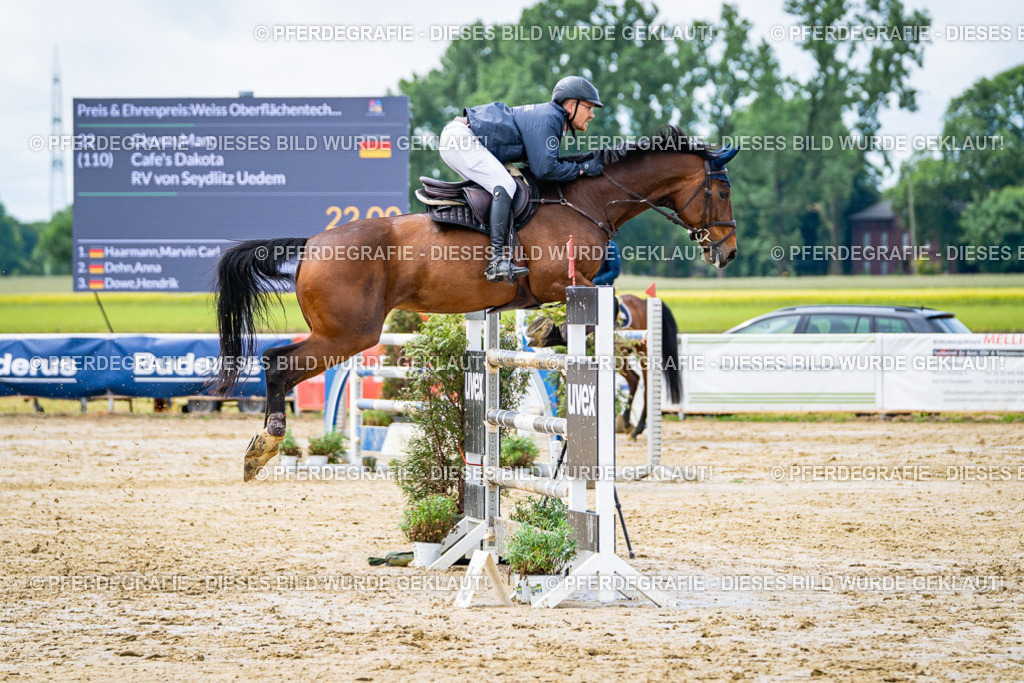 DSC04012 | Pferdegrafie