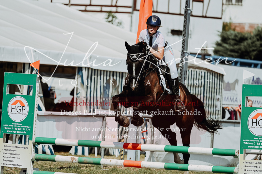 DSC_0054 | Pferde- und Turnierfotografie in Westsachsen. Pferdeportraits, Auftragszeichnungen und intuitive Kunst.