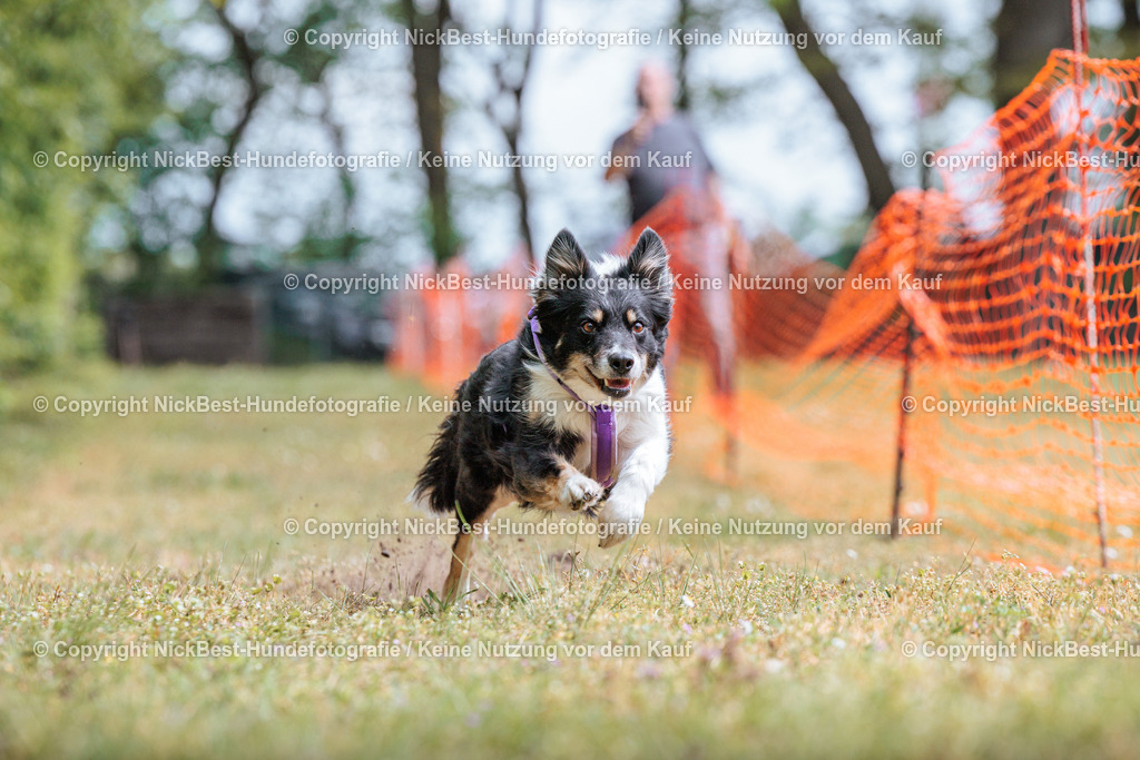 Sage Hunderennen Frühlingsfest-2026-Nickbest-Hundefotografie-0266 | Dein Hund! Dein Moment! Deine Erinnerungen! Hundefotografie in Bremen Blumenthal. Ich fange die besonderen Momente deines Vierbeiners ein – ob Indoor mit Blitzanlage oder in der freien Natur. Sicher dir dein Moment und dein Termin für eure Erinnerungen.
