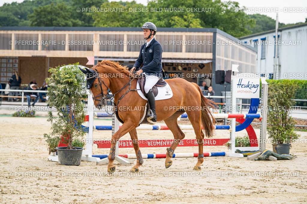 DSC09467 | Pferdegrafie