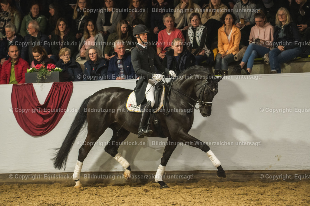 20240302_Hengstvorstellung_Marbach_TOMsPiC_1514 | equistock