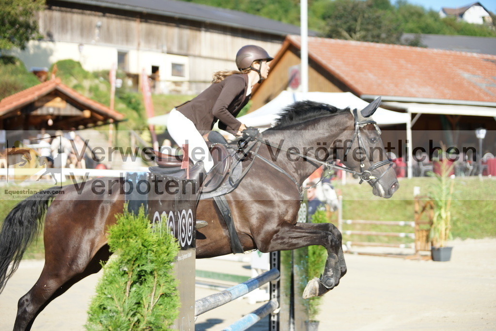 DSC02187 | equestrian-live-com