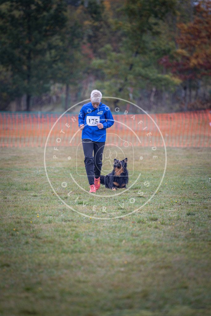 Pfotenfotografie_DV3A9347 | Hundefotografie, Tierfotograf, Pfotenfotografie, Fotoshooting Hund, Hunde Portrait, Hundesport, Hundeportraits, Heideshooting, Hunde, Sportfotograf, Hundefotograf, Turnierhundsport, THS,  - Realisiert mit Pictrs.com