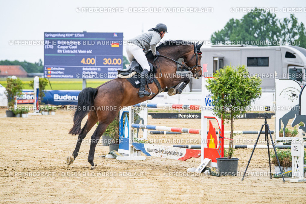 DSC09126 | Pferdegrafie