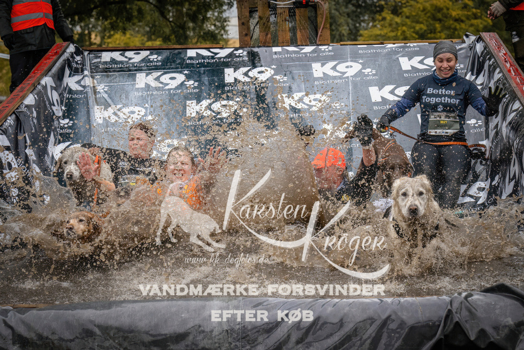 1213_ZZ94760 | kk-dogfotos