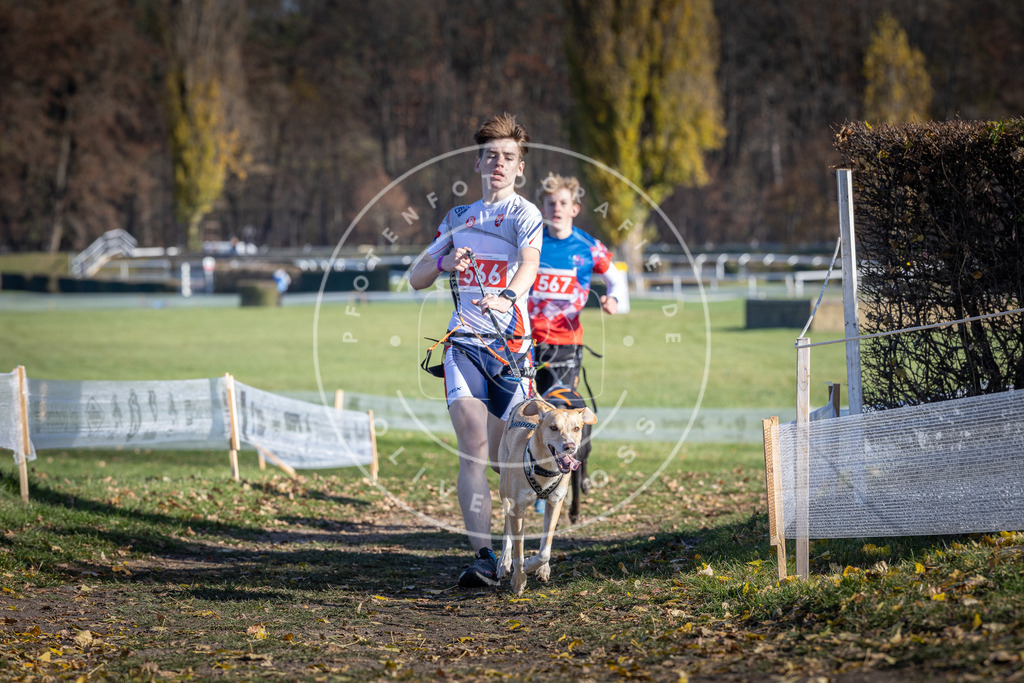 CaniXpix_DV3A8792 | Hundefotografie, Tierfotograf, Pfotenfotografie, Fotoshooting Hund, Hunde Portrait, Hundesport, Hundeportraits, Heideshooting, Hunde, Sportfotograf, Hundefotograf, Turnierhundsport, THS,  - Realisiert mit Pictrs.com