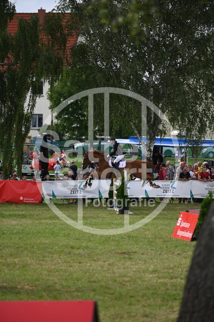 DSC_3159 | sattelsport - Realisiert mit Pictrs.com